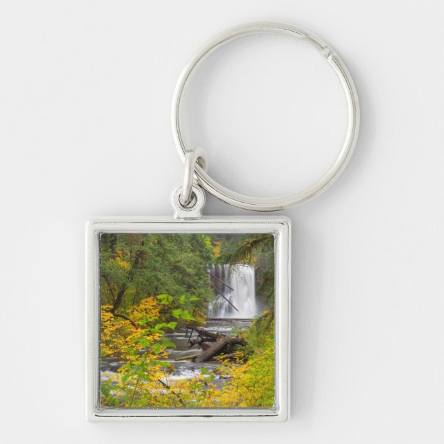 USA, Oregon, Silver Falls State Park 2 Keychain (Front)
