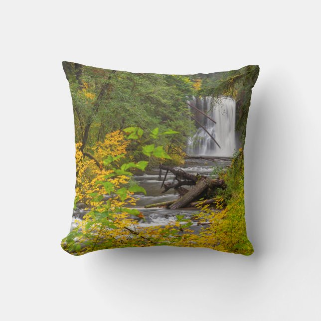 USA, Oregon, Silver Falls State Park 2 Throw Pillow (Front)