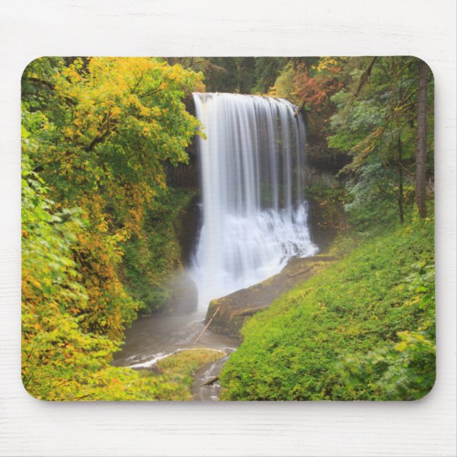 USA, Oregon, Silver Falls State Park 3 Mouse Pad (Front)