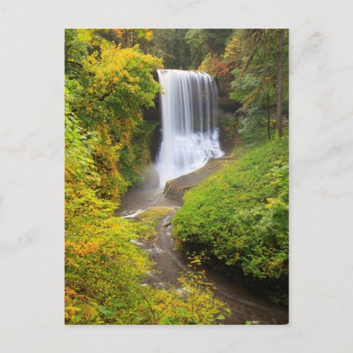 USA Oregon Silver Falls State Park 3 Postcard