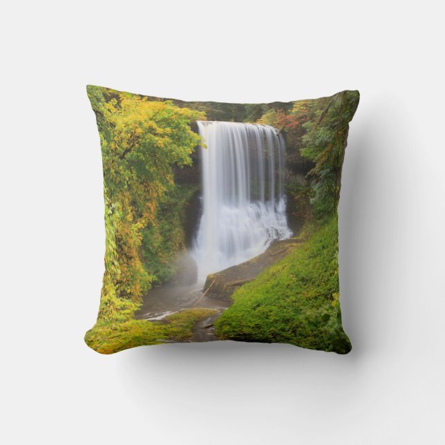 USA, Oregon, Silver Falls State Park 3 Throw Pillow (Front)