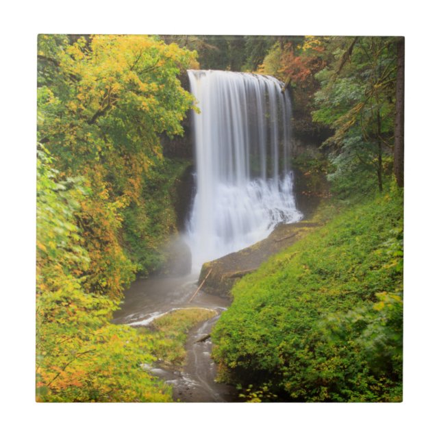 USA, Oregon, Silver Falls State Park 3 Tile (Front)