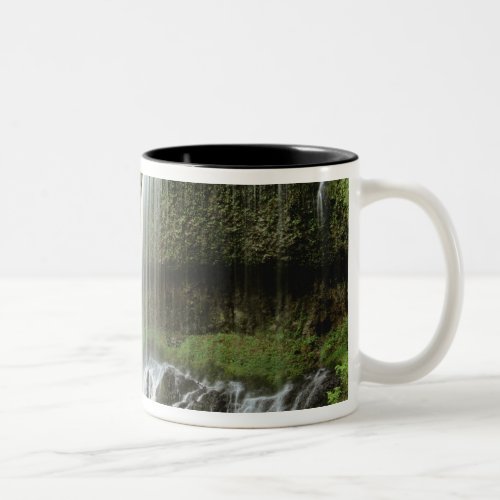 USA Oregon Silver Falls State Park Lower Two_Tone Coffee Mug