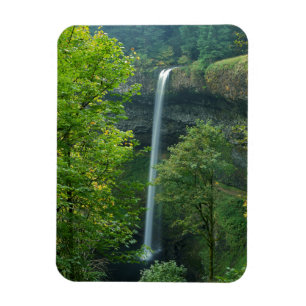 USA, Oregon, Silver Falls State Park Magnet