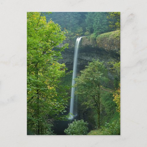 USA Oregon Silver Falls State Park Postcard