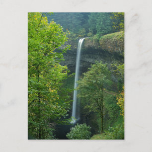 USA, Oregon, Silver Falls State Park Postcard
