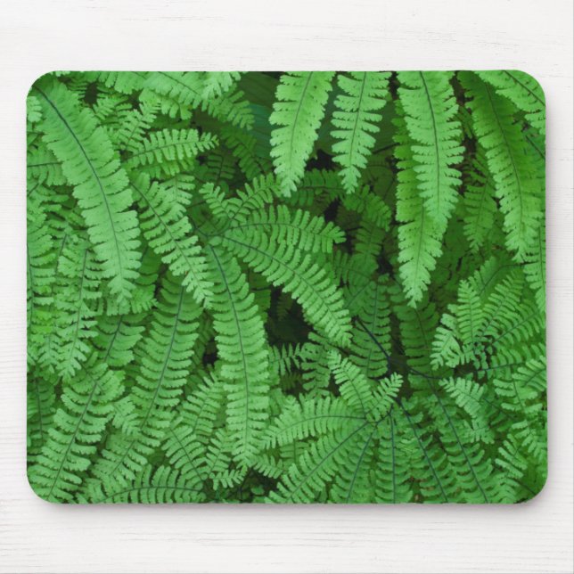 USA, Oregon, Silverton. Maidenhair Ferns Mouse Pad (Front)