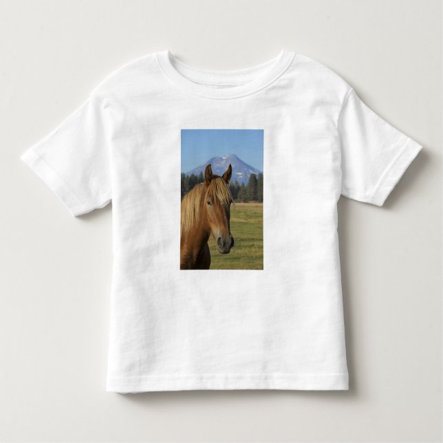 USA, Oregon, Sisters, view of Three Sisters, Toddler T-shirt (Front)