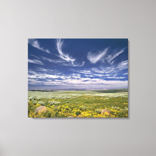 USA, Oregon, Steens Mountain. Spring burgeons Canvas Print (Front)