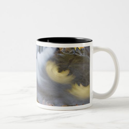 USA Oregon Sweet Creek Fallen maple leaves Two_Tone Coffee Mug