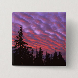 USA, Oregon, Three Sisters Wilderness, Vivid Pinback Button