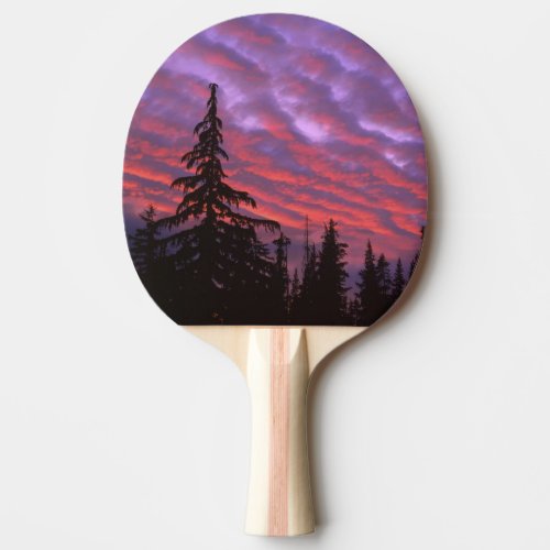 USA Oregon Three Sisters Wilderness Vivid Ping_Pong Paddle