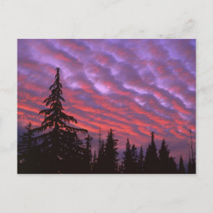 USA, Oregon, Three Sisters Wilderness, Vivid Postcard