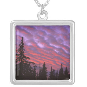 USA, Oregon, Three Sisters Wilderness, Vivid Silver Plated Necklace