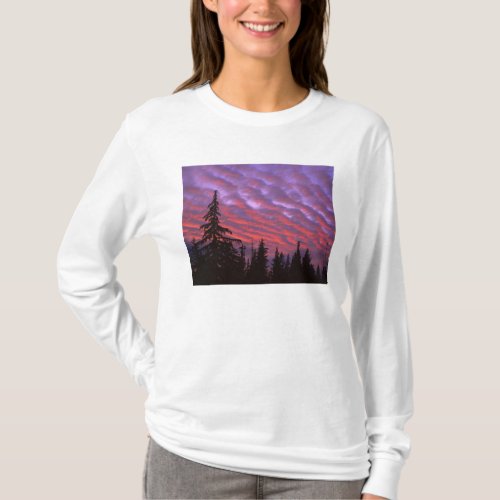 USA Oregon Three Sisters Wilderness Vivid T_Shirt