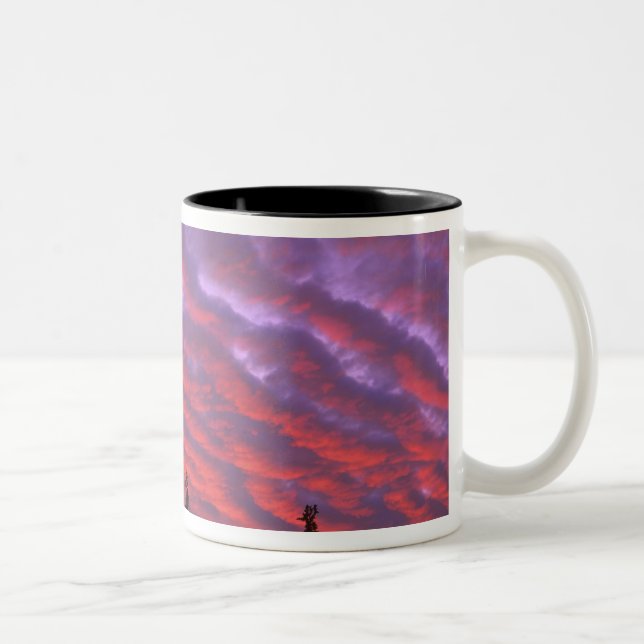 USA, Oregon, Three Sisters Wilderness, Vivid Two-Tone Coffee Mug (Right)