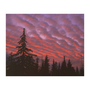 USA, Oregon, Three Sisters Wilderness, Vivid Wood Wall Art