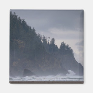 USA, Oregon, Tillamook County, Forest at coast Magnet