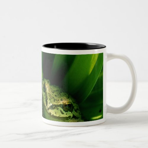 USA Oregon Treefrog in False Hellebore Two_Tone Coffee Mug