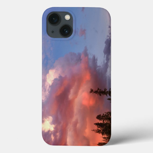 USA, Oregon, Umpqua National Forest. Storm Case-Mate iPhone Case (Back)
