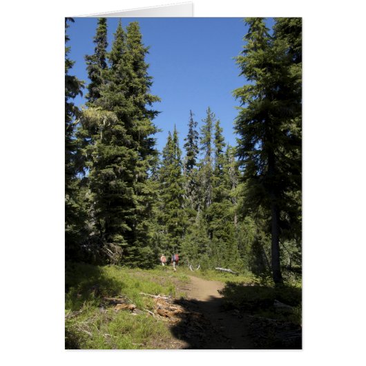 USA, Oregon, Willamette National Forest, Fall Cards (Front)