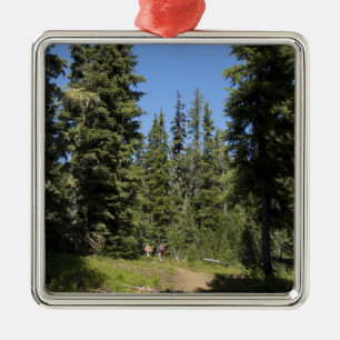 USA, Oregon, Willamette National Forest, Fall Metal Ornament