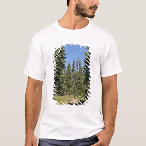 USA Oregon Willamette National Forest Fall T_Shirt