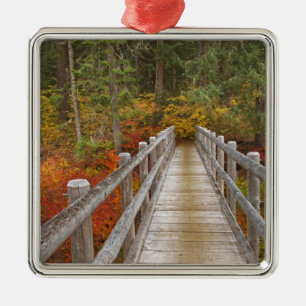 USA, Oregon, Willamette National Forest. Metal Ornament