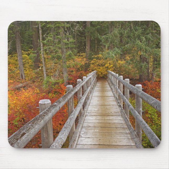 USA, Oregon, Willamette National Forest. Mouse Pad (Front)