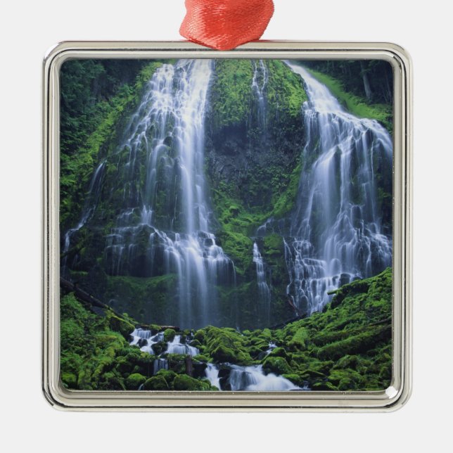 USA, Oregon, Willamette National Forest. View of Metal Ornament (Front)