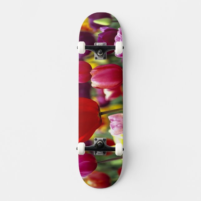 USA, Oregon, Willamette Valley. Beautiful Skateboard Deck (Front)
