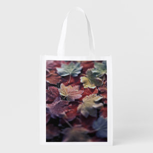 USA, Pacific Northwest. Japanese maple leaves Grocery Bag