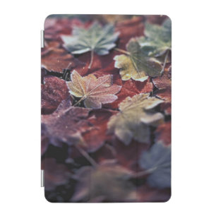 USA, Pacific Northwest. Japanese maple leaves iPad Mini Cover