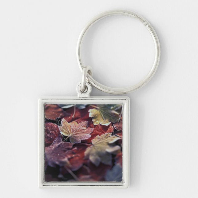 USA, Pacific Northwest. Japanese maple leaves Keychain (Front)
