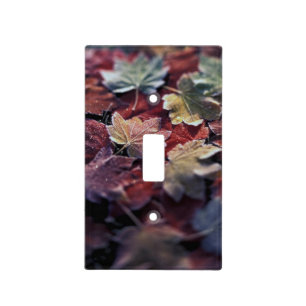 USA, Pacific Northwest. Japanese maple leaves Light Switch Cover