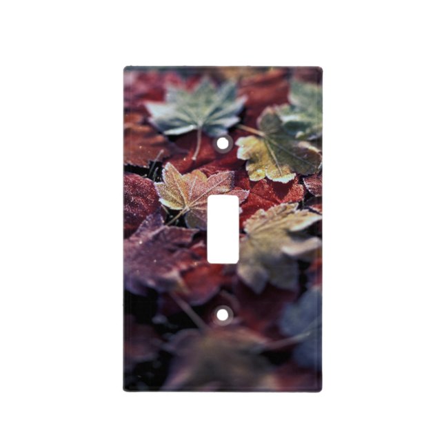 USA, Pacific Northwest. Japanese maple leaves Light Switch Cover (Front)