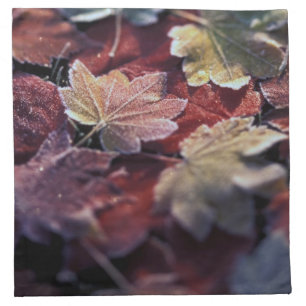 USA, Pacific Northwest. Japanese maple leaves Napkin