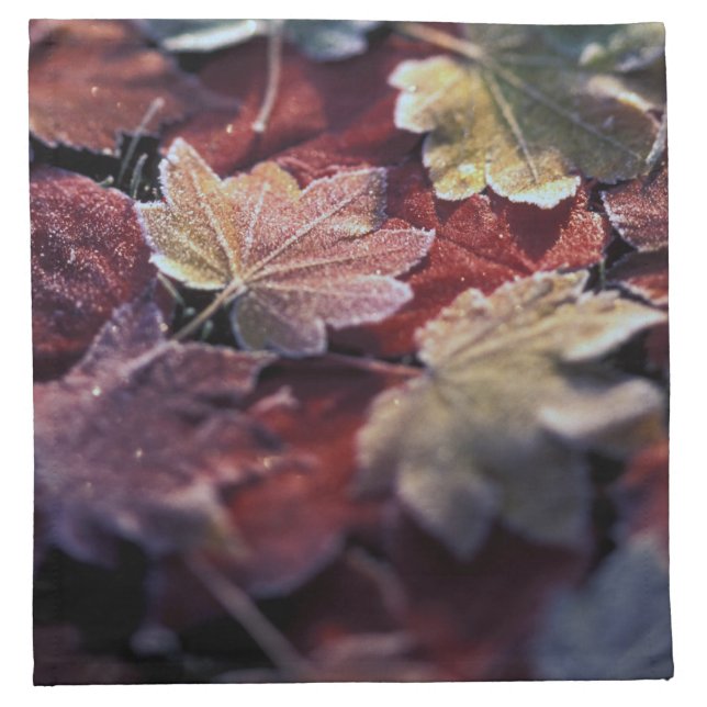 USA, Pacific Northwest. Japanese maple leaves Napkin (Front)