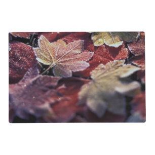 USA, Pacific Northwest. Japanese maple leaves Placemat