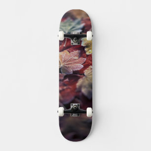 USA, Pacific Northwest. Japanese maple leaves Skateboard Deck
