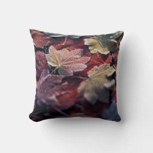 USA, Pacific Northwest. Japanese maple leaves Throw Pillow