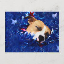 USA Patriotic Dog American Pit Bull Terrier Postcard