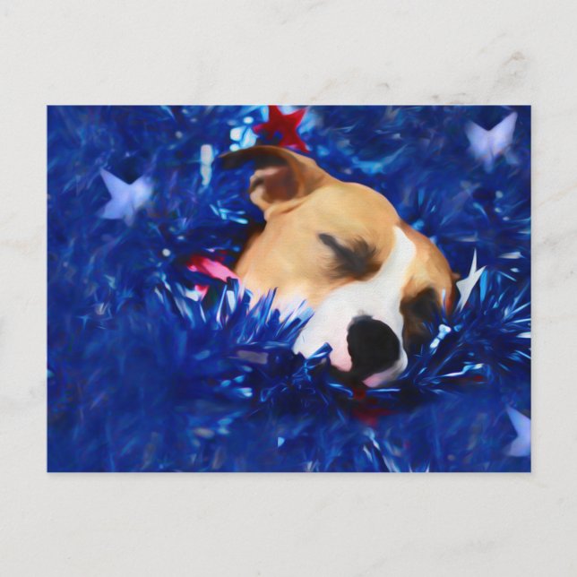 USA Patriotic Dog American Pit Bull Terrier Postcard (Front)