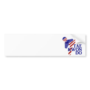 USA Patriotic Martial Arts TAEKWONDO Bumper Sticker