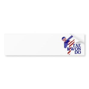 USA Patriotic Martial Arts TAEKWONDO Bumper Sticker