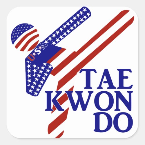 USA Patriotic Martial Arts TAEKWONDO  Square Sticker