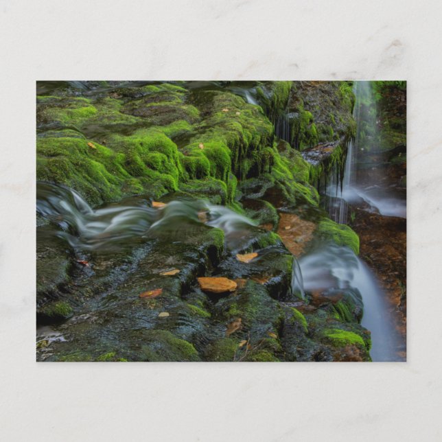 USA, Pennsylvania, Benton, Ricketts Glen State Postcard (Front)