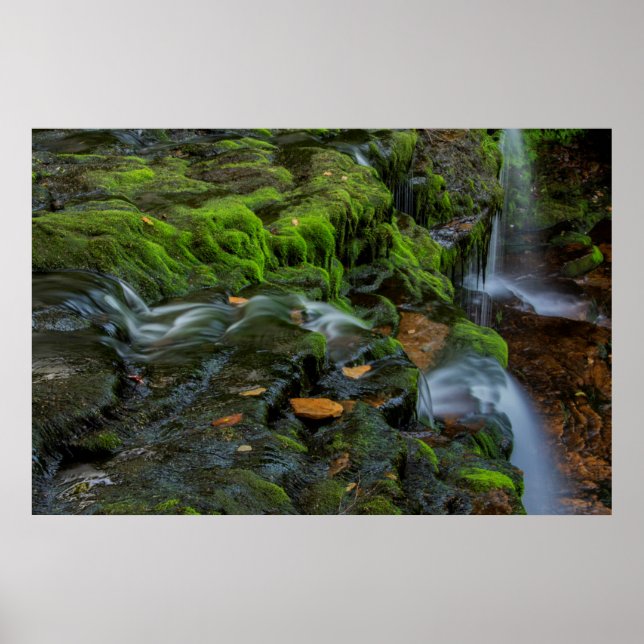 USA, Pennsylvania, Benton, Ricketts Glen State Poster (Front)