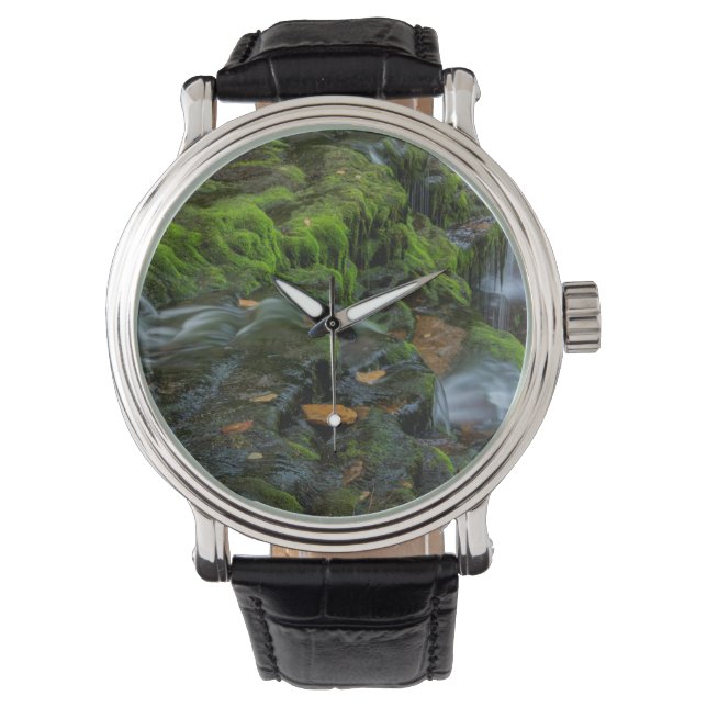 USA, Pennsylvania, Benton, Ricketts Glen State Watch (Front)