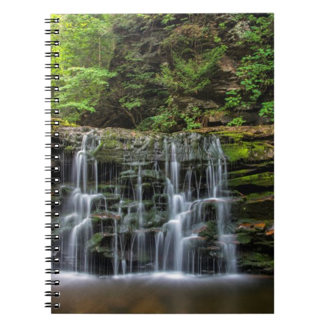 USA, Pennsylvania, Benton. Waterfall In Ricketts Notebook (Front)